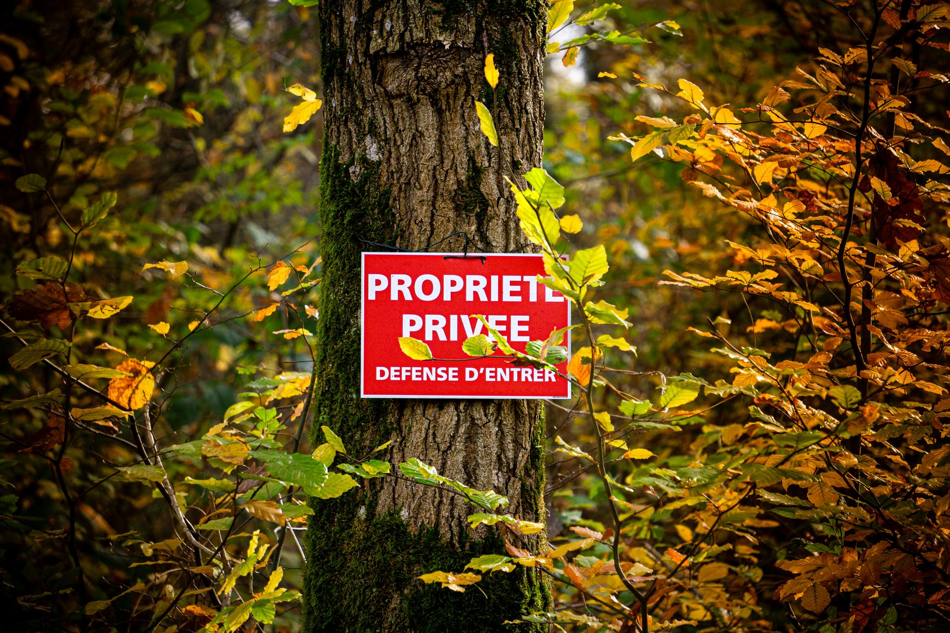 Détective privé à Noisy-le-Grand